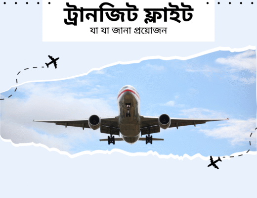 ট্রানজিট-ফ্লাইট